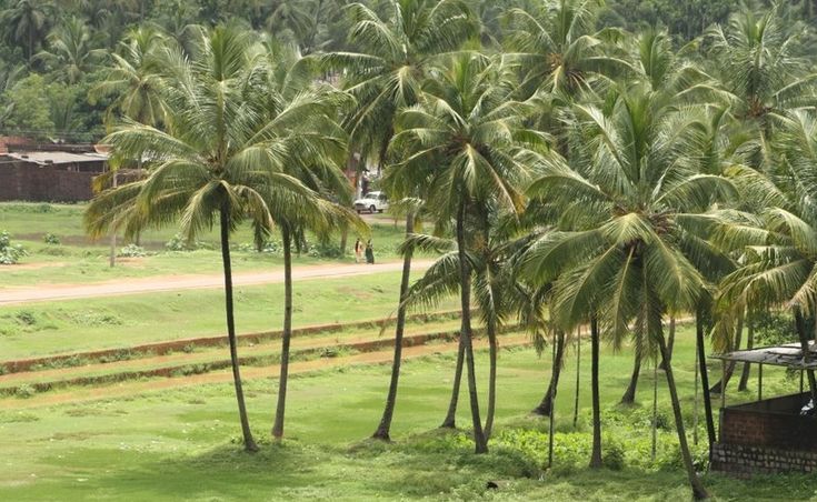Puttur
